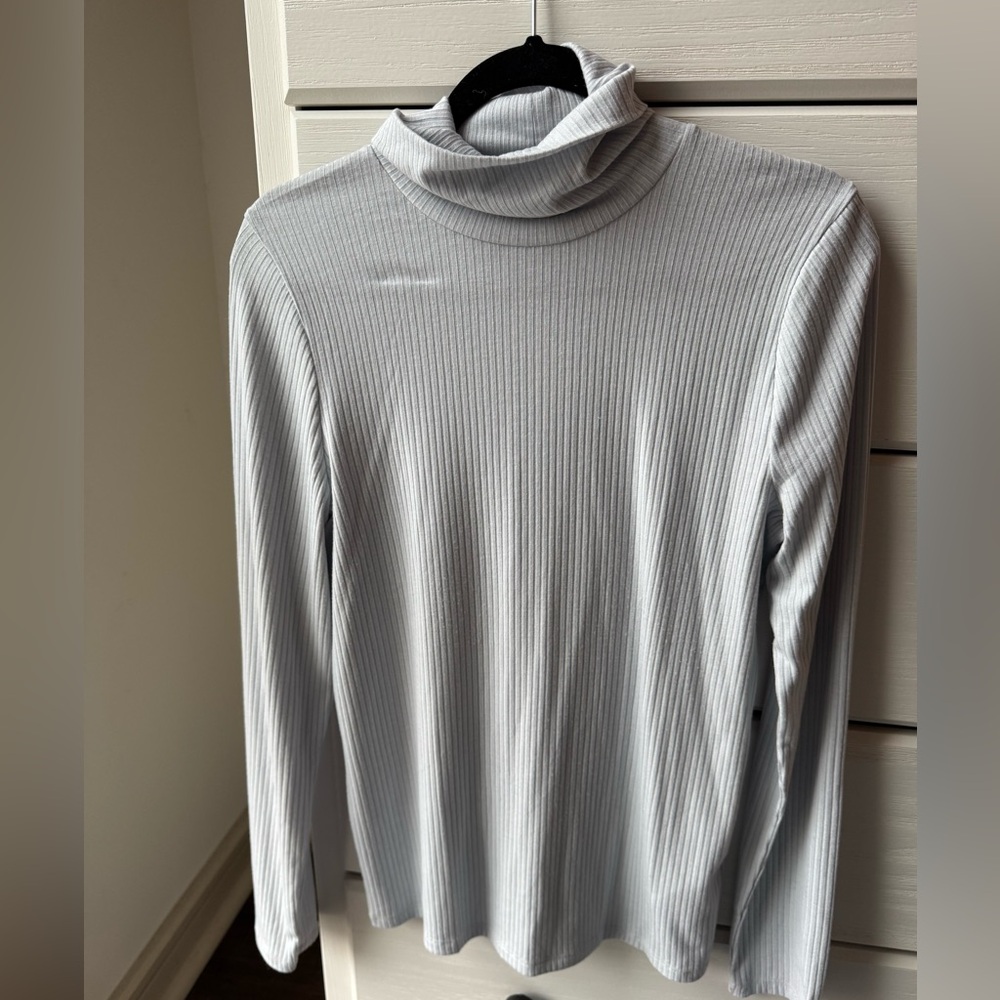 Madewell Ribbed Turtleneck (Light Blue, Large)